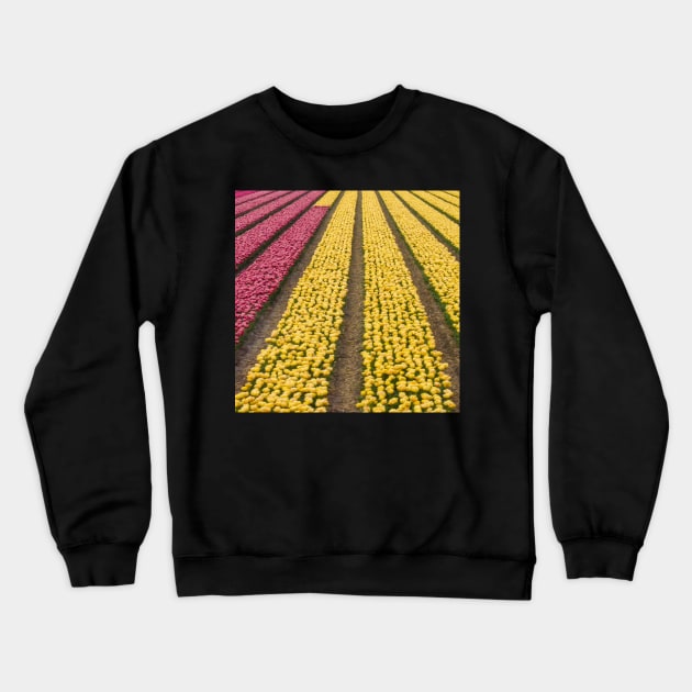 Fields of Tulips Crewneck Sweatshirt by Upbeat Traveler